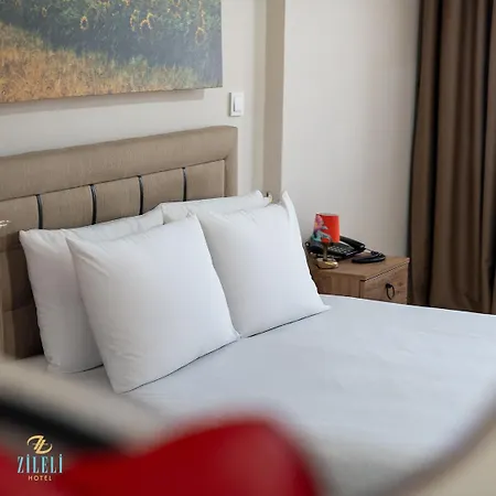 Zileli Suıtes 3*