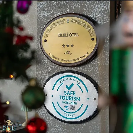 מלון Zileli 3*