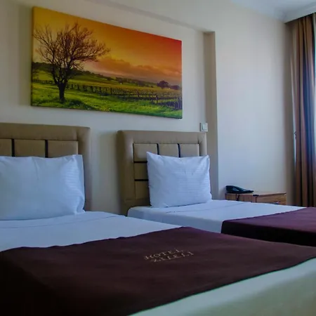 Zileli Suıtes Hotel Hamidiye