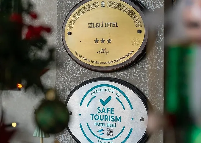 Hotel Zileli 3*